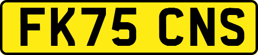 FK75CNS