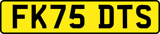 FK75DTS