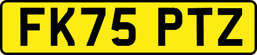 FK75PTZ