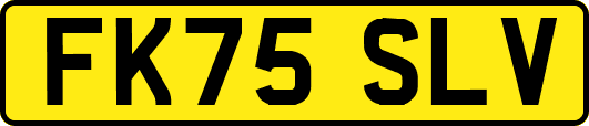 FK75SLV