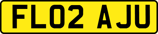 FL02AJU