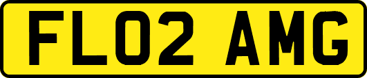 FL02AMG