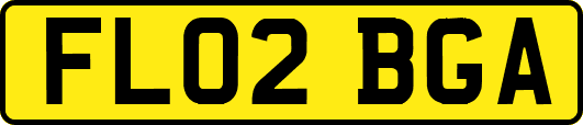 FL02BGA