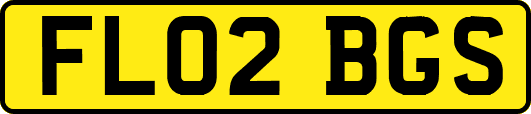 FL02BGS