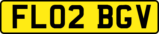 FL02BGV