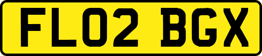 FL02BGX