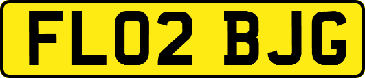 FL02BJG