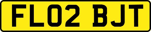 FL02BJT
