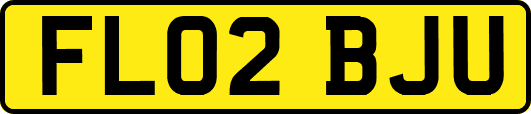 FL02BJU