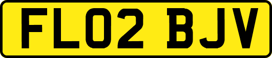 FL02BJV
