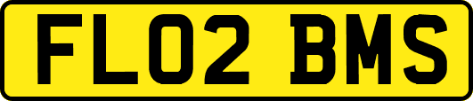 FL02BMS