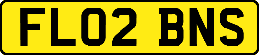 FL02BNS