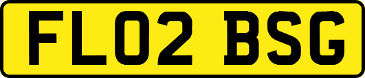FL02BSG