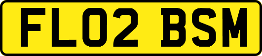 FL02BSM