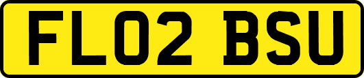 FL02BSU