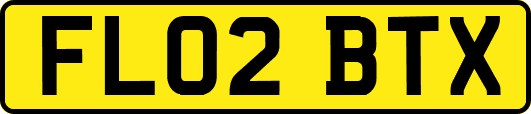 FL02BTX