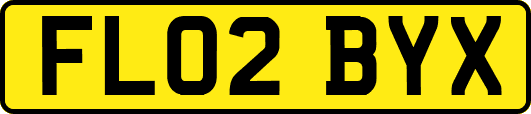 FL02BYX