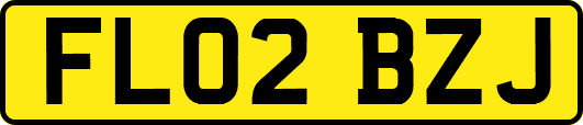 FL02BZJ