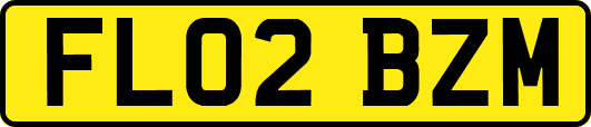 FL02BZM