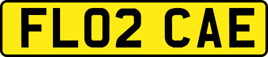 FL02CAE