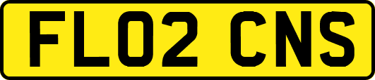 FL02CNS
