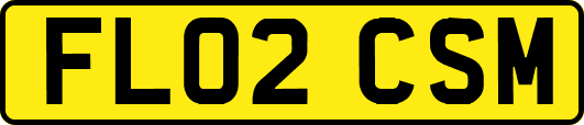 FL02CSM