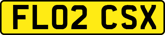 FL02CSX