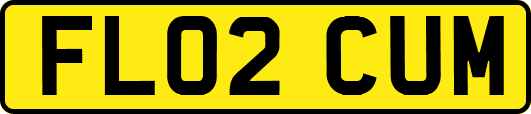 FL02CUM