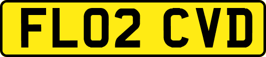 FL02CVD