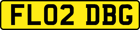 FL02DBG