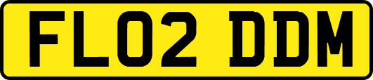 FL02DDM