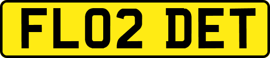 FL02DET
