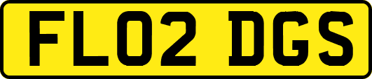 FL02DGS