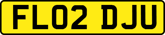 FL02DJU
