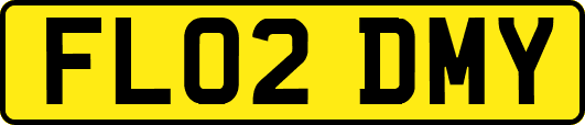 FL02DMY