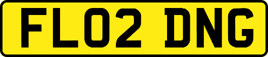 FL02DNG
