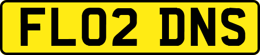 FL02DNS