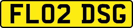 FL02DSG