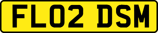 FL02DSM