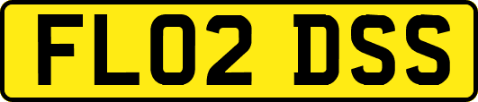 FL02DSS