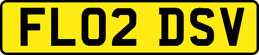 FL02DSV