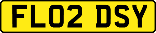 FL02DSY