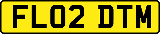 FL02DTM