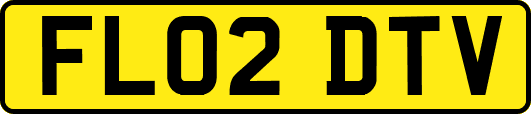FL02DTV