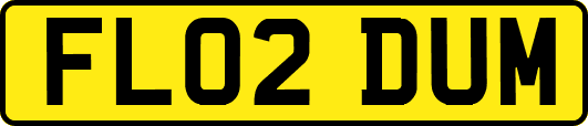 FL02DUM