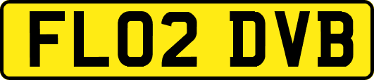 FL02DVB