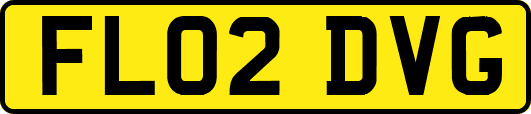 FL02DVG