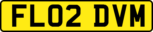 FL02DVM