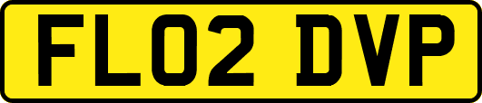 FL02DVP