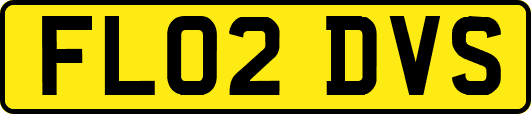 FL02DVS